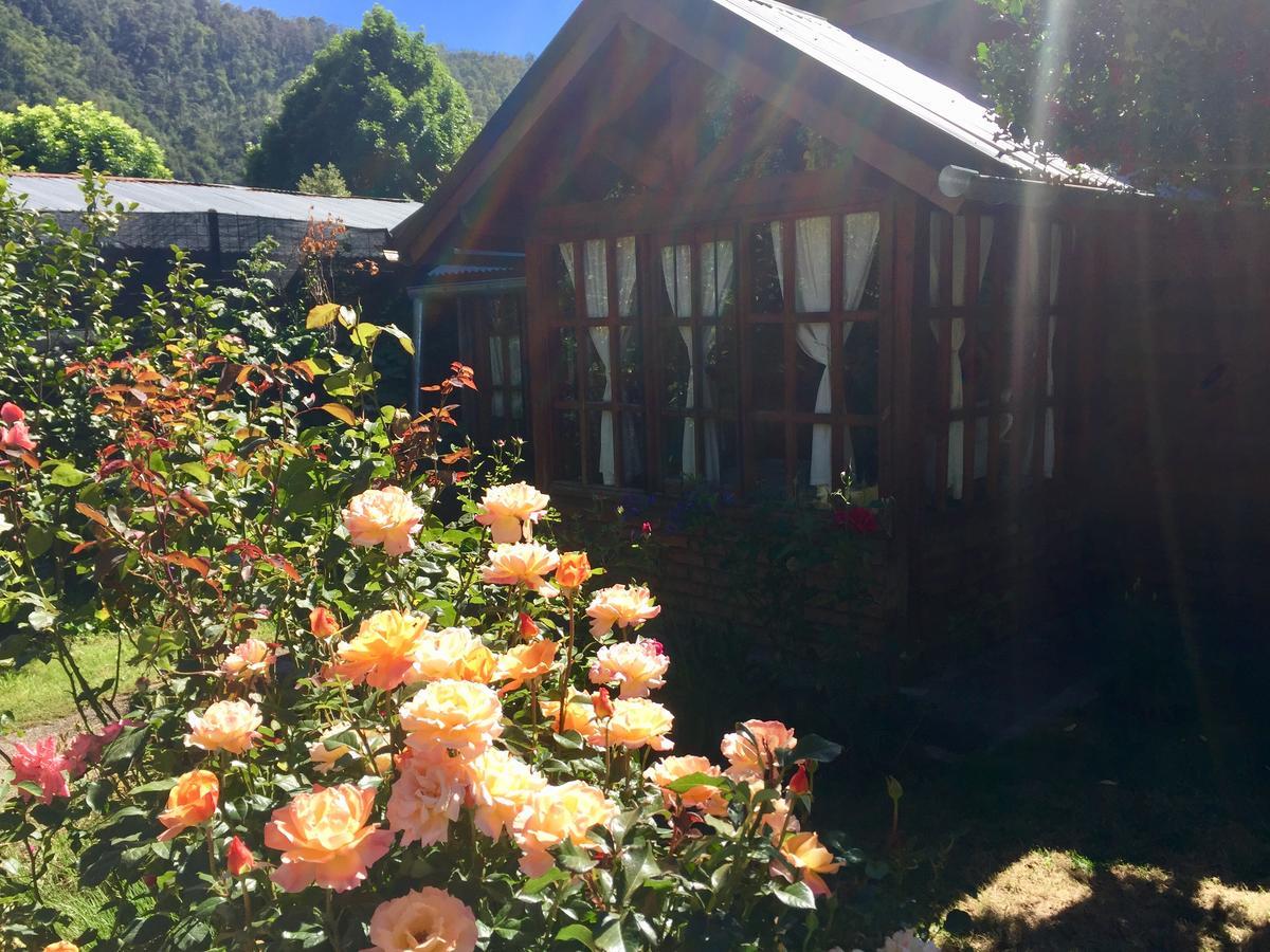Tu Cabana San Martín de los Andes Exteriér fotografie